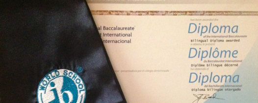 the ib diploma program izmir american college